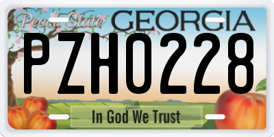 GA license plate PZH0228