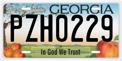 GA license plate PZH0229