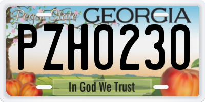 GA license plate PZH0230