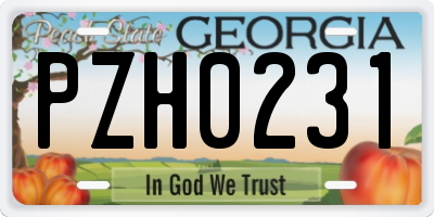 GA license plate PZH0231