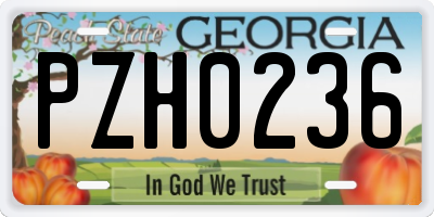GA license plate PZH0236