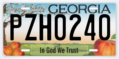 GA license plate PZH0240