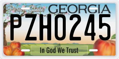 GA license plate PZH0245