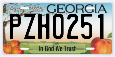 GA license plate PZH0251
