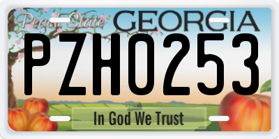 GA license plate PZH0253