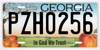 GA license plate PZH0256