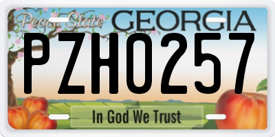 GA license plate PZH0257