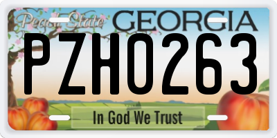 GA license plate PZH0263