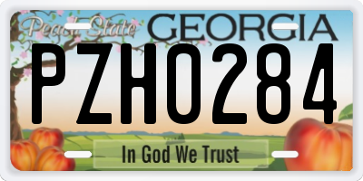 GA license plate PZH0284