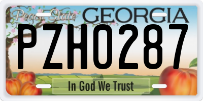 GA license plate PZH0287