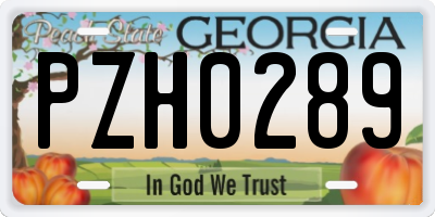 GA license plate PZH0289