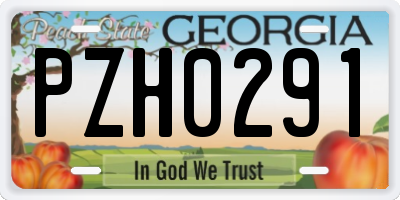 GA license plate PZH0291