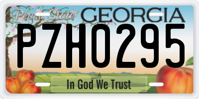 GA license plate PZH0295