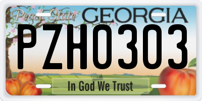 GA license plate PZH0303
