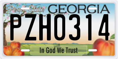 GA license plate PZH0314