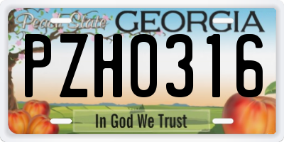 GA license plate PZH0316