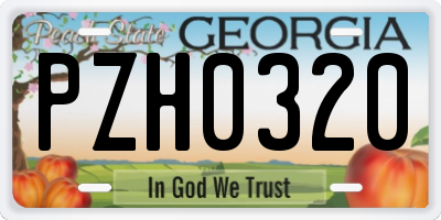 GA license plate PZH0320