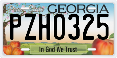GA license plate PZH0325