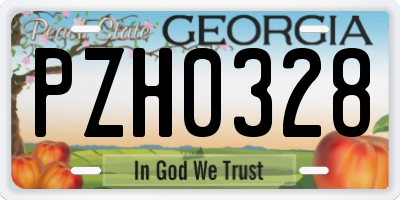 GA license plate PZH0328