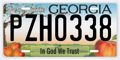 GA license plate PZH0338