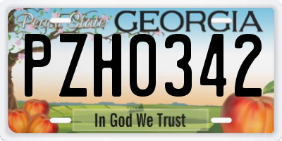 GA license plate PZH0342