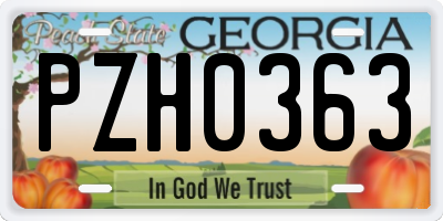 GA license plate PZH0363