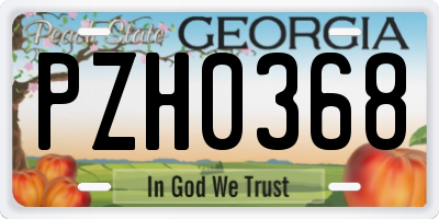 GA license plate PZH0368
