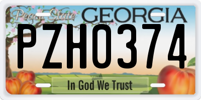 GA license plate PZH0374