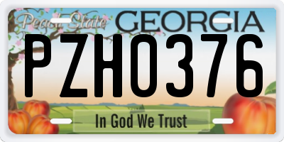 GA license plate PZH0376