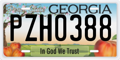 GA license plate PZH0388