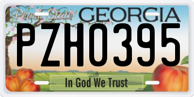 GA license plate PZH0395