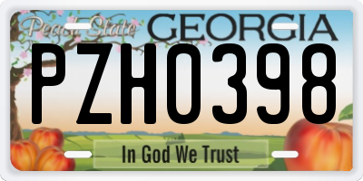 GA license plate PZH0398
