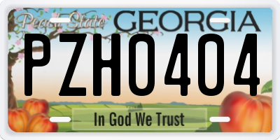 GA license plate PZH0404