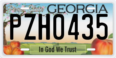 GA license plate PZH0435