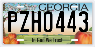 GA license plate PZH0443