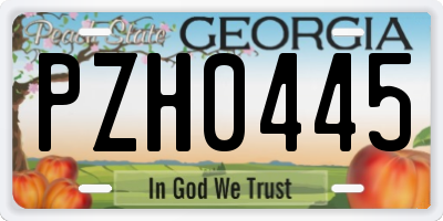 GA license plate PZH0445