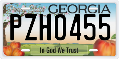 GA license plate PZH0455
