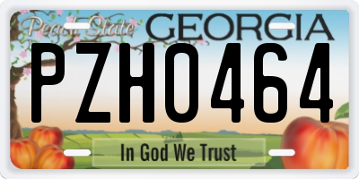 GA license plate PZH0464