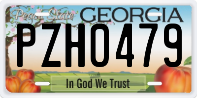 GA license plate PZH0479