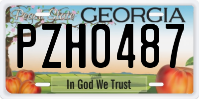 GA license plate PZH0487