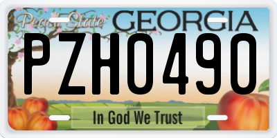 GA license plate PZH0490