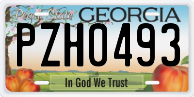 GA license plate PZH0493
