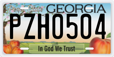 GA license plate PZH0504