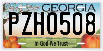 GA license plate PZH0508