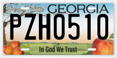 GA license plate PZH0510