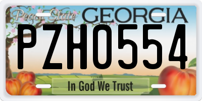 GA license plate PZH0554