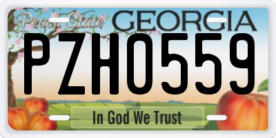 GA license plate PZH0559