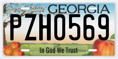 GA license plate PZH0569