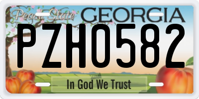 GA license plate PZH0582