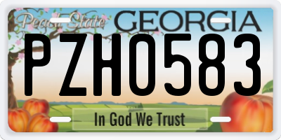 GA license plate PZH0583